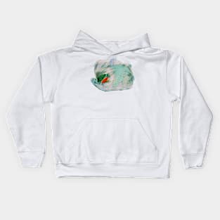 Portrait of a Colombian Tree Frog King Kids Hoodie